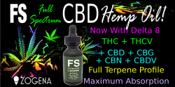 cbd-hemp-oil-1200x600-150dpi-fs_orig.png