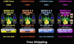 zogena-4-bogos-neon_orig.png