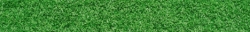 TEST1.gif