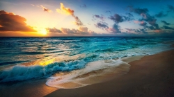 beach.jpg