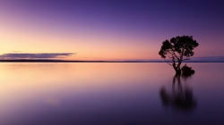 sunset-g05ff8ebc4_1920.jpg
