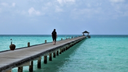 the-pier.jpg