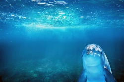 sea-ge709974f5_1920.jpg