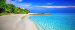 beach-g59d2546ea_1920.jpg