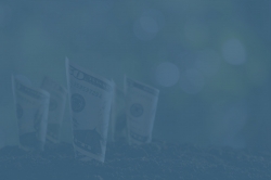 rolled-bank-notes-on-soil-PGLPRC3.jpg