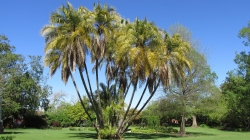 scenery-gba179c0ea_1920.jpg