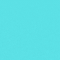 report3.gif
