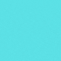 Report4.gif