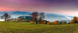 panorama-g344713e19_1920.jpg