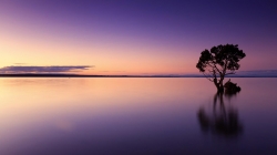 sunset-g6930ca09c_1920.jpg