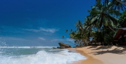 beach-1867590_1920.jpg