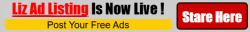 lizbanner,460x80.png