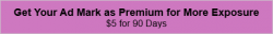 468x60 premium ads.png