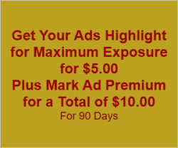 hightlight&premium .png