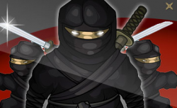 ninja.png