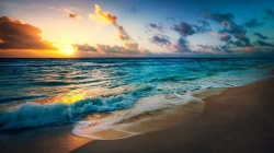 beach-2836300_1280 (2).jpg