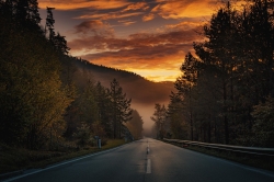 road-7525091_1280.jpg